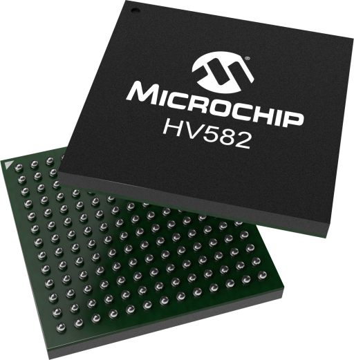 HV582GA-G — Manufacturer package reference image, TFBGA-169