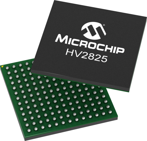 HV2825/D8C — Manufacturer package reference image, LFBGA-169
